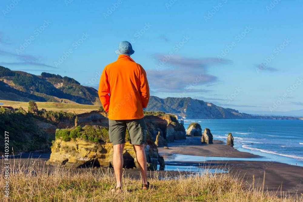 Wall mural in new zealand coast