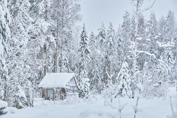 frame house in the forest in winter