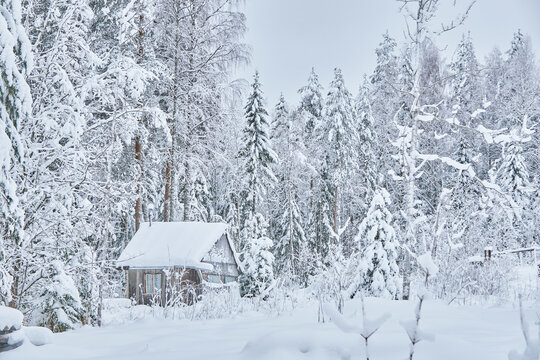 frame house in the forest in winter