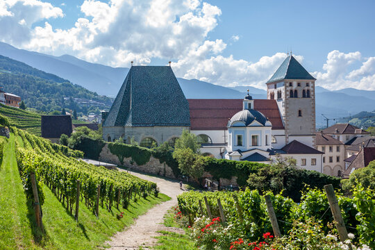 The vineyards of the Novacella Abbey, located near Varna, is the largest convent complex in the whole of South Tyrol 