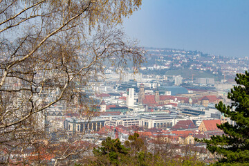 Ausblick auf Stuttgart vom Teehaus 