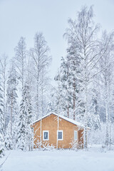 frame house in the forest in winter