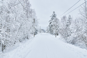 road in the forest. winter