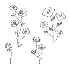 手描きの花のイラストセット
