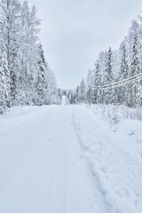 road in the forest. winter