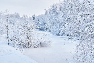 Obraz premium frozen river. snowy beautiful winter