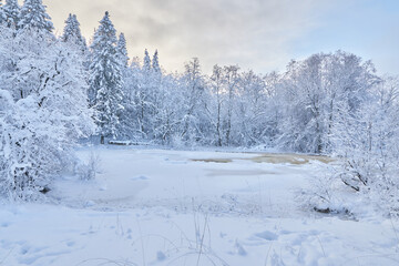 frozen river. snowy beautiful winter