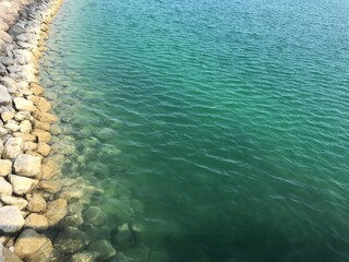 flowers, sea, garden 