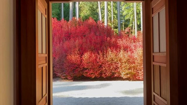 呑山観音寺「ドウダンツツジ」