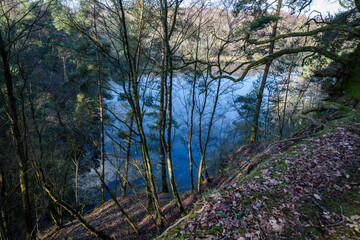 the water through the trees