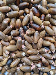 Melinjo or belinjo seed, gnetum gnemon seeds texture background