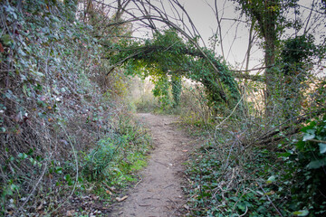 Bosque de torrebonica,Terrassa,lugar  ideal para pasear cerca de la ciudad