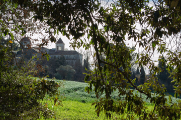 Bosque de Torrebonica ,Terrassa