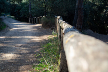 Bosque de torrebonica,Terrassa,lugar  ideal para pasear cerca de la ciudad