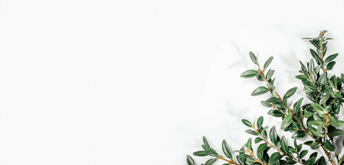 Corner made of green leaves