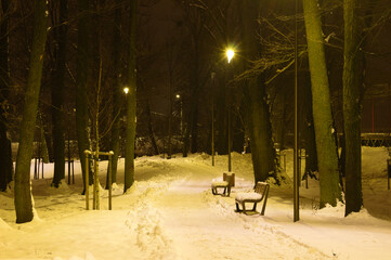 Poland, Lublin, Park Ludowy. Park road in winter at night.4 - obrazy, fototapety, plakaty