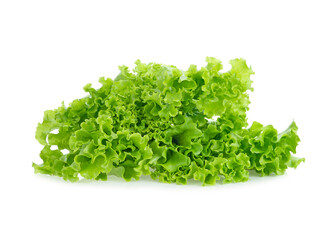 lettuce leaves isolated on white background.