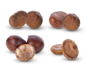 chestnuts isolated on white background.