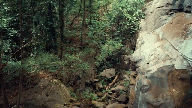 Poza de agua donde cae una cascada, rodeada por rocas y arboles