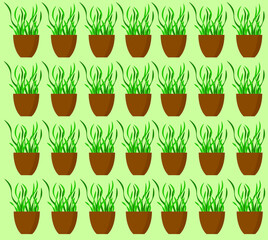 Indoor flowers. A set of flowers. Spring time. Bloom. Happy easter. Background for the screen. Vector. Scenery.