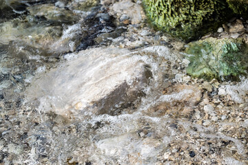 seaweed on the beach