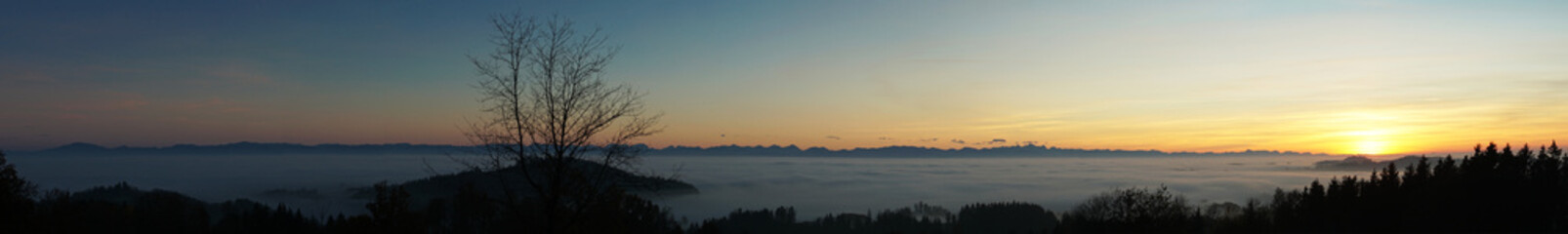 Nebel-Panorama