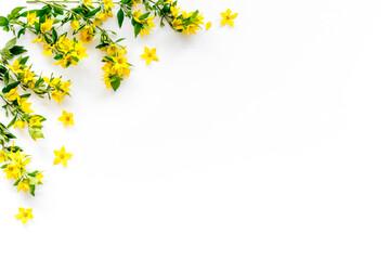 Floral background of yellow flowers with leaves, overhead view