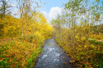 Fototapeta na wymiar Autumn scenery with a river stream