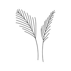 Set of abstract decorative plant twigs. Black and white linear vector illustration isolated in doodle style