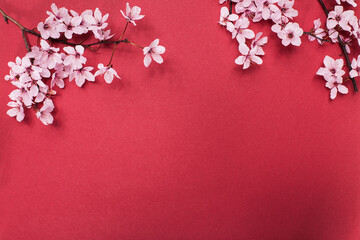 Cherry blossom tree branches on red paper background. Flat lay with spring elements and copy space