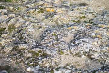 Ruins of an ancient Greek city by the sea. Chersonesos. The ancient city. Black Sea.	
