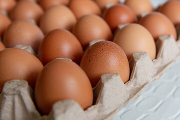 Cell of brown chicken eggs