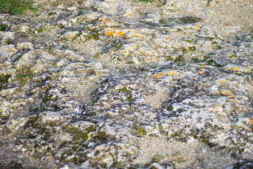 Ruins of an ancient Greek city by the sea. Chersonesos. The ancient city. Black Sea.	
