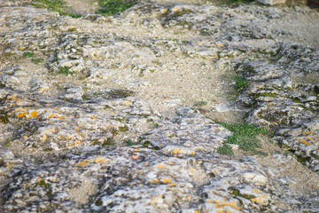 Ruins of an ancient Greek city by the sea. Chersonesos. The ancient city. Black Sea.	
