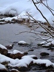 Winter stream and branches covered in snow