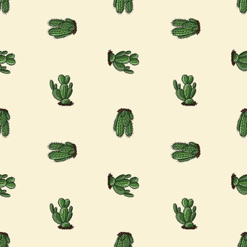 Seamless background of drawn decert cactuses