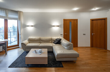 Modern interior of luxury living room. Leather couch. Coffee table.