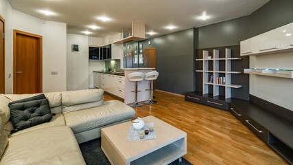 Contemporary interior of luxury studio apartment. Coffee table.