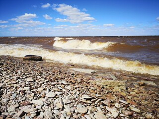 Southern shore of Lake Ilmen waves pebbles strong wind