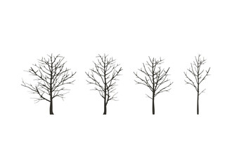 Collection of dead tree,dry tree, vector isolated on white background.