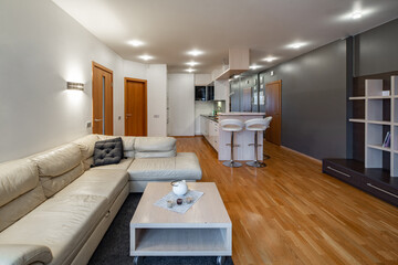 Obraz na płótnie Canvas Contemporary interior of luxury studio apartment. Kitchen. Cozy couch.
