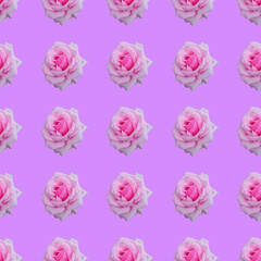 Seamless pattern with flowers pink rose on purple background.  Photo collage creative design for textile, fashion, wallpaper, web, wrapping paper.