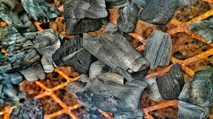 Remnants of Burnt Wood