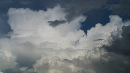 Fototapeta na wymiar Ciel de traîne active, envahi de gros cumulus d'un blanc immaculé