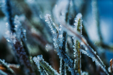 //THE.IMPOSSIBILITY.OF.REASON