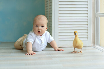 little boy with a small duck