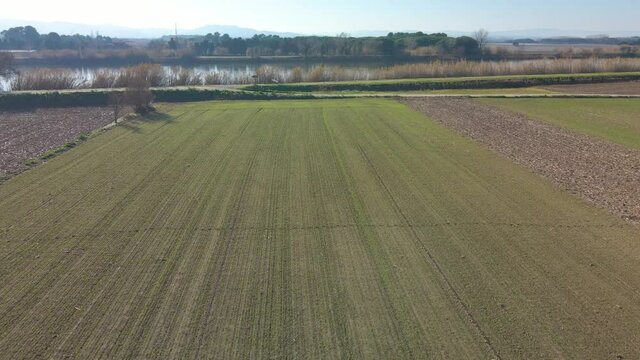 aerial images with drone of the beach of Begur the gola del ter mouth of the river aiguamolls del baix emporda
