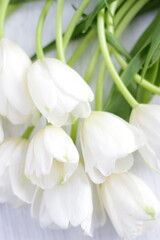 White fresh tulips on wooden background, nice tender spring flowers on wood texture, tulip bouquet frame, 8 March, Valentine, mother day birthday wedding gift 