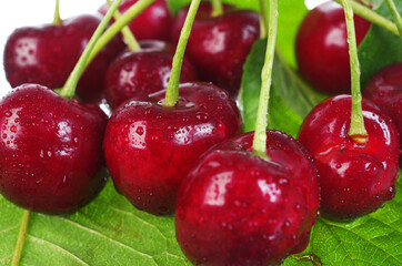 Sweet cherry berries with leaves and dew drops, close-up. 