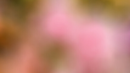 Pink Rose Pink Rose is a romantic expression of the sweet love that the giver has for the recipient. This rose is made of fiber cloth. Suitable for the day of love that young people give to each other